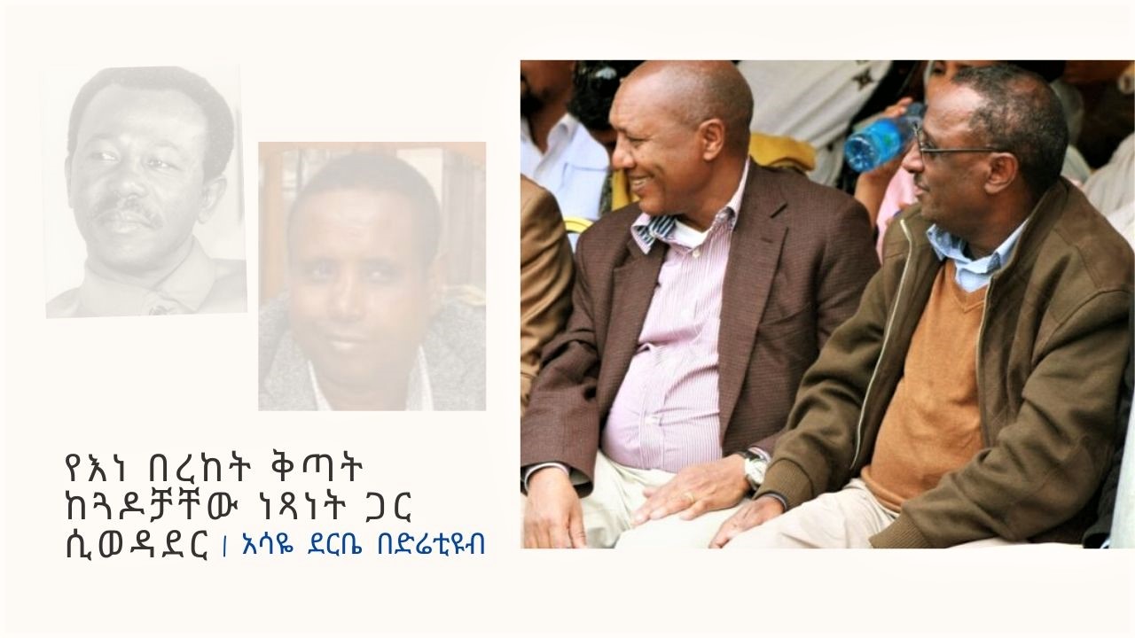 የእነ በረከት ቅጣት ከጓዶቻቸው ነጻነት ጋር ሲወዳደር